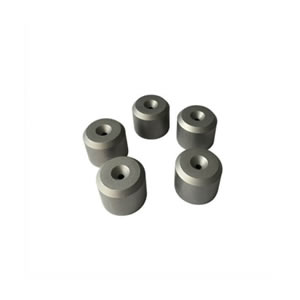 Tungsten Carbide Die
